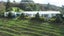 2195 Diggers Valley Road, Kaitaia, Kaitaia - Carousel 6