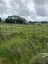 123 Totara Road, Whenuapai, Auckland - Carousel 3