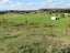 41 Riley Place, Owhango - Carousel 12