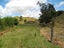 0 Hanning Road, Earnscleugh, Alexandra - Carousel 13