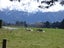 265 Mount Hutt Station Road, Rakaia - Carousel 18