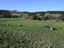 4358 Masterton Castlepoint Road, Masterton - Carousel 18