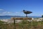 1191 East Coast Road, Pokeno - Carousel 17