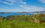 6 Spenmoor Street, Newlands, Wellington - Carousel 4