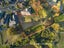 110 Sereno Vista, Bellevue, Tauranga - Carousel 2