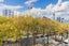 3I/100 Greys Avenue, Auckland Central, Auckland - Carousel 3