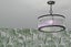 2 Chilcombe Street, Ilam, Christchurch - Carousel 3