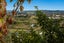 8 Sereno Vista, Bellevue, Tauranga - Carousel 10