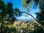 2 Selwyn Road, Hospital Hill, Napier - Carousel 9