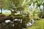 5 Penny Lane, Hoon Hay, Christchurch - Carousel 20
