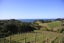 40 Tiri Road, Oneroa, Waiheke Island - Carousel 3