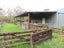 5242 State Highway 2, Kotemaori, WAIROA - Carousel 5