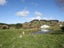 4358 Masterton Castlepoint Road, Masterton - Carousel 1