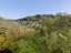 41 South Karori Road, Karori, Wellington - Carousel 9
