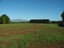 77 Day Road, Te Awamutu, Ohaupo - Carousel 5