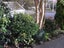 36A College Street, College Estate, Whanganui - Carousel 10
