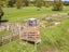 7988 State Highway 1, Taihape - Carousel 5