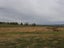 504 Lauder-Matakanui Road, DRYBREAD, OMAKAU - Carousel 15