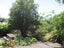 20 Julyan Street, Shannon, Shannon - Carousel 8