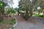 74 Arundel Belfield Road, Belfield, Geraldine - Carousel 20