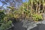 29 Fitzroy Avenue, Fitzroy, Hamilton - Carousel 14
