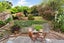 231 Ohiro Road, Brooklyn, Wellington - Carousel 3