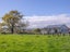 430 Kohinui Road, Pahiatua - Carousel 23