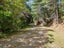 0 Port Underwood Rd, Port Underwood, Picton - Carousel 15
