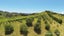 5 Brown Road, Onetangi, Waiheke Island - Carousel 6