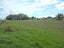 74A Butchers Bridge Road, Waiuku - Carousel 9