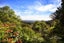 69 Kohu Road, Titirangi, Auckland - Carousel 15