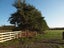 84A Voss Road, Christchurch - Carousel 9