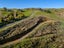 117I Lees Pakaraka Road, Te Ore Ore, Masterton - Carousel 3