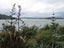 78E Greenslade Road, Raglan, Raglan - Carousel 18