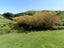 936 Ohariu Valley Road, Ohariu, Wellington - Carousel 17