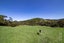 353 Taylor Road, Waimauku - Carousel 19