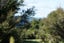 180 Pumpkin Hill Road, Pumpkin Hill - Carousel 9