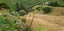 11 Hillcroft Road, HOROKIWI 5016, WELLINGTON - Carousel 13