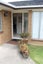 13B Eltham Road, Kohimarama, Auckland - Carousel 3