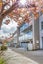 52C Mandalay Terrace, Khandallah, Wellington - Carousel 16