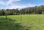 109 Taiapa Road, Waimauku - Carousel 8