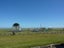 3 Elley Drive, Carters Beach, Westport - Carousel 2