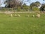 326 Upper Plain Road, Upper Plain, Masterton - Carousel 20