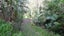 0 Whatuwhiwhi Road, Karikari Peninsula - Carousel 13
