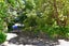 331 Ashgrove Terrace, Somerfield, Christchurch - Carousel 26