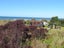 1 Riwaka-Sandy Bay Road, KAITERITERI, MOTUEKA - Carousel 6