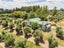 0 , Martinborough - Carousel 12
