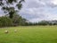 0 State Highway 53, South Featherston, Featherston - Carousel 7