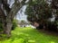 5 Gordon Street, Mangapapa, Gisborne - Carousel 19