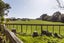 8 Walker Crescent, Bulls - Carousel 27